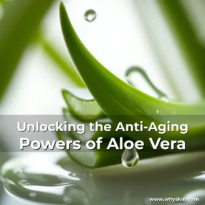 Read more about the article Unlocking the Anti-Aging Powers of Aloe Vera