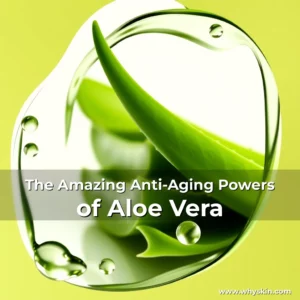 Read more about the article The Amazing Anti-Aging Powers of Aloe Vera