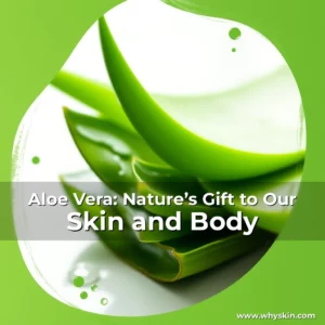 Read more about the article Aloe Vera: Nature’s Gift to Our Skin and Body